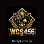WGS456 Game
