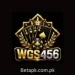 WGS456 Game